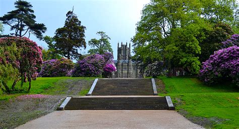 Margam Park | Andrew Scott