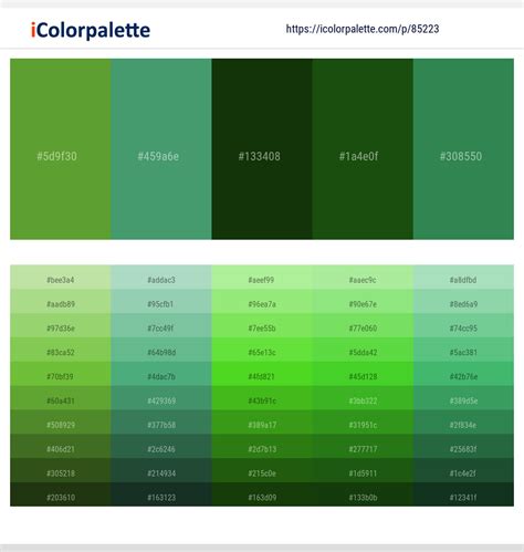 1 Latest Color Schemes with Ocean Green And Deep Forest Green Color tone combinations | 2024 ...