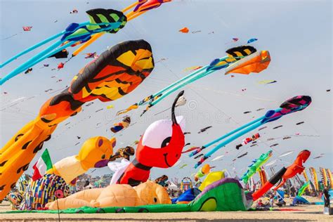 Big kites flying editorial photography. Image of coast - 164463262