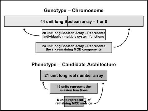 Genotype to Phenotype Mapping | Download Scientific Diagram