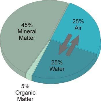 What are the components of soil - Science - Soil - 6397266 | Meritnation.com