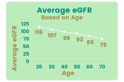 Reading a Kidney Function Test: What do my results mean?