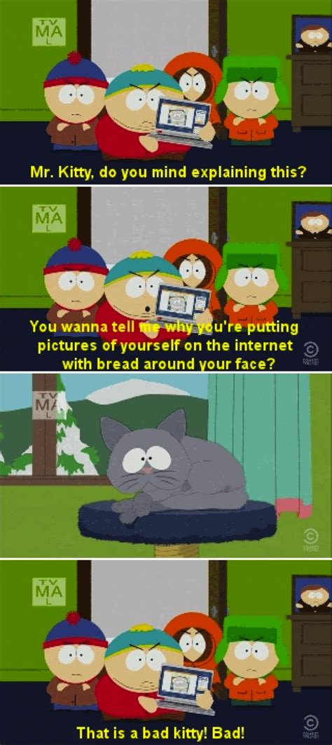 South Park Cartman Mr. Kitty memeing | South park funny, South park memes, South park quotes