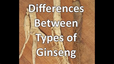 The Differences Between The Different Types of Ginseng - YouTube