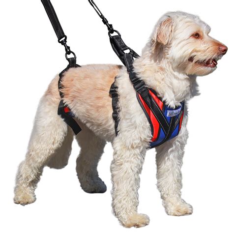 Walkin' Pets Lift-n-Step Dog Harness for Full Body Support - Red - Small - Walmart.com