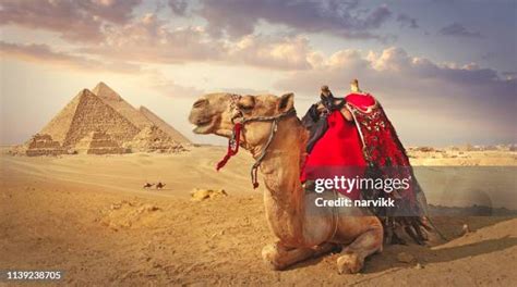 63,675 Egyptian Culture Stock Photos, High-Res Pictures, and Images - Getty Images