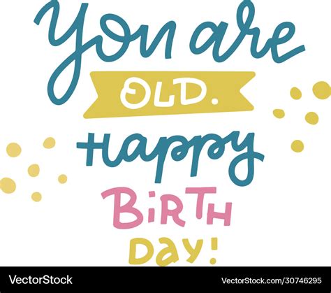 You are old happy birthday - funny comical Vector Image