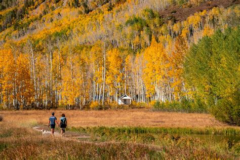 Manti-La Sal National Forest: The Forest As Beautiful as Utah's Parks