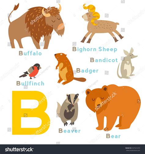 B Letter Animals Set English Alphabet: เวกเตอร์สต็อก (ปลอดค่าลิขสิทธิ์) 357531473 | Shutterstock