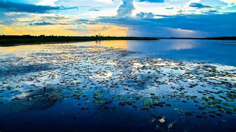 An expedition to Papua New Guinea's lake of monsters (real and imagined) | Adventure.com