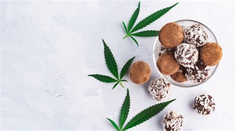 Best Edibles Brands in Canada - Togo Weed