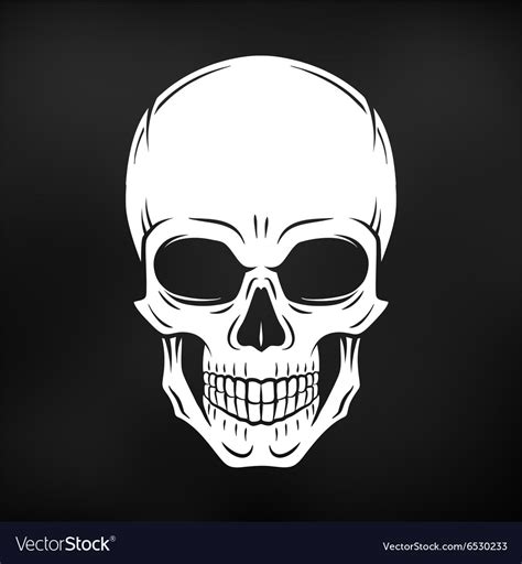 Human evil skull Jolly Roger logo template Vector Image