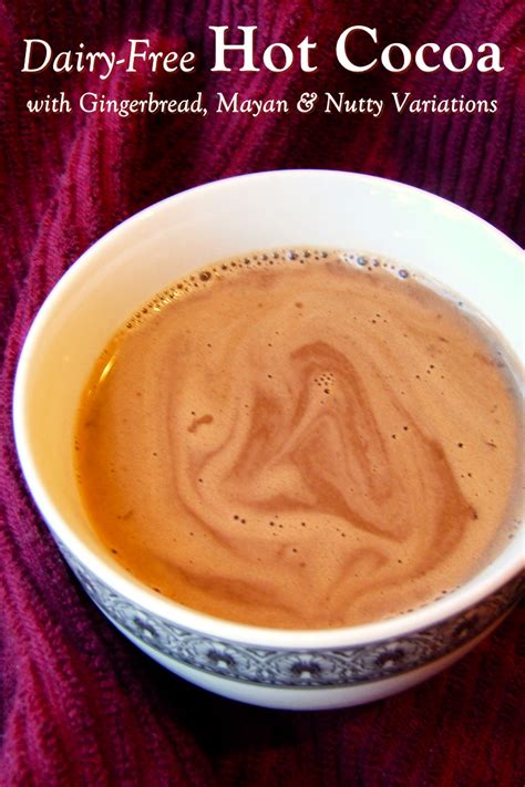 Dairy-Free Hot Cocoa Recipe + Gingerbread, Aztec & Nutty Variations