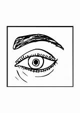Human Eye Coloring Page sketch template