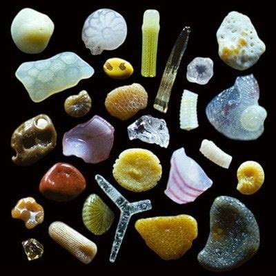 Grains of sand magnified 250x : r/pics