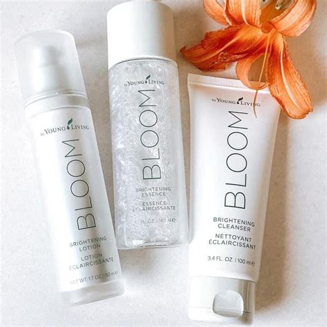 Bloom Skincare Product Lineup — The Wholistic Esthetician