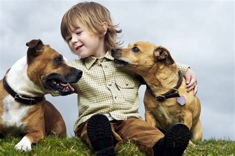 Beneficios de tener a una mascota cuando tenemos niños en casa – Capu y Bigotes