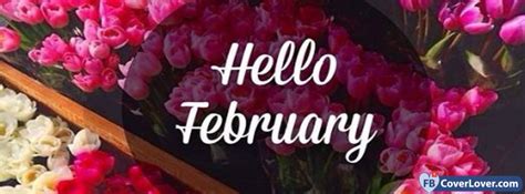 Hello February Flowers February seasonal Facebook Cover Maker Fbcoverlover.com