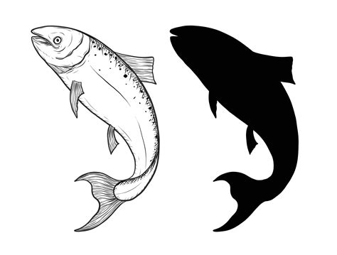 Fish vector by hand drawing 534720 Vector Art at Vecteezy