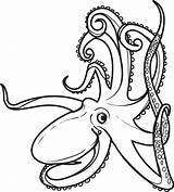 Printable Coloring Pages Octopus sketch template