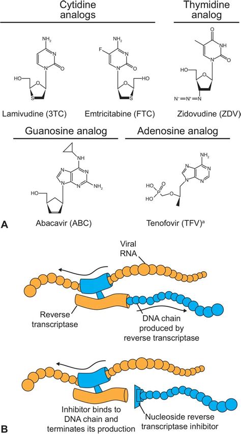 (A) Structures of lamivudine and other NRTIs used in contemporary HIV... | Download Scientific ...