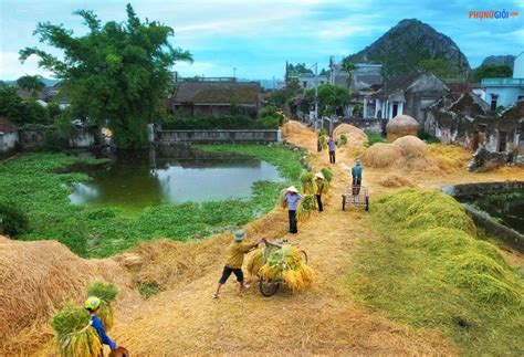 hình ảnh làng quê việt nam ngày xưa | Z photos - Tháng Hai 2023 Z Photos