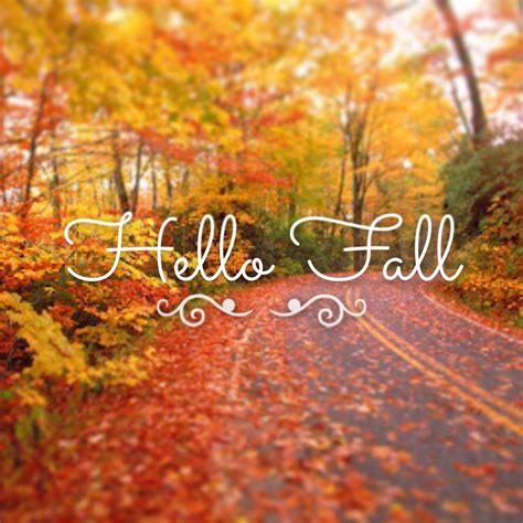 Hello Autumn Wallpapers - Top Free Hello Autumn Backgrounds - WallpaperAccess