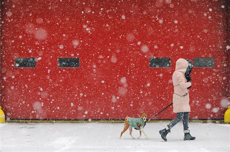 Northeast Snowstorm: Photos Show Huge Blizzard