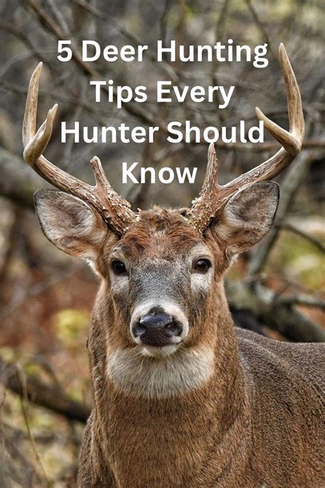 Big buck hunting tips for professional hunters. Deer Hunting Games, Hunting Sport, Hunting Tools ...