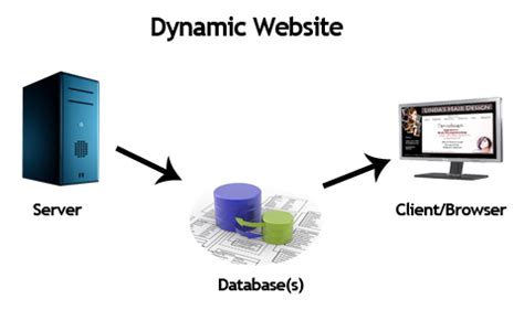 Static and dynamic website examples - bingergeek