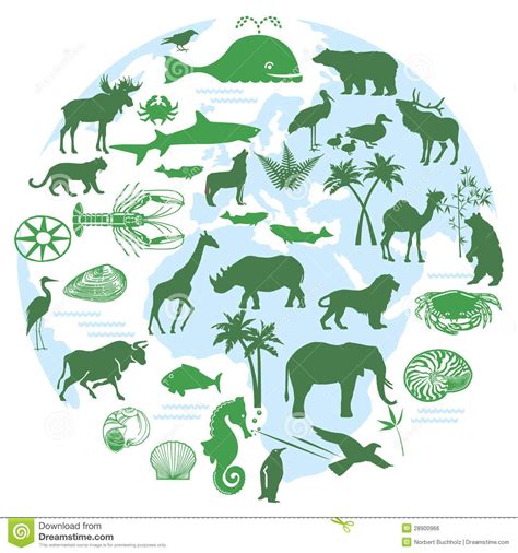 Pin by Kristen Crauthers on Sustainability and Biodiversity | Biodiversity conservation ...