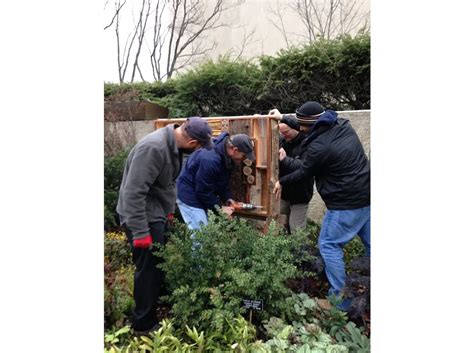 How to Create an Insect Habitat in Your Garden | Smithsonian