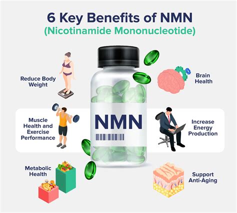 What is NMN: Benefits, Side Effects, and How to Take NMN Supplements - The Nutrition Insider