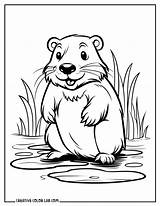 Free Beaver Coloring Pages To Print sketch template