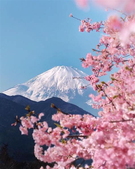 Cherry blossoms around Mount Fuji, Japan. Photograph @amai_mizu_ | Japan tourist, Japan ...