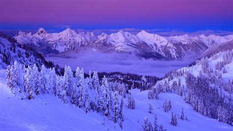 Purple, clouds, snow, winter, mountains, trees, sky, nature, landscape wallpaper | photography ...