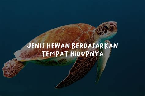 Jenis Hewan Berdasarkan Tempat Hidupnya