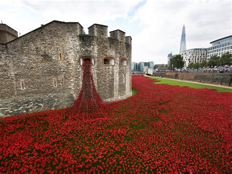 The Tower of London poppies are an extraordinary memorial - which some fail to grasp | The ...