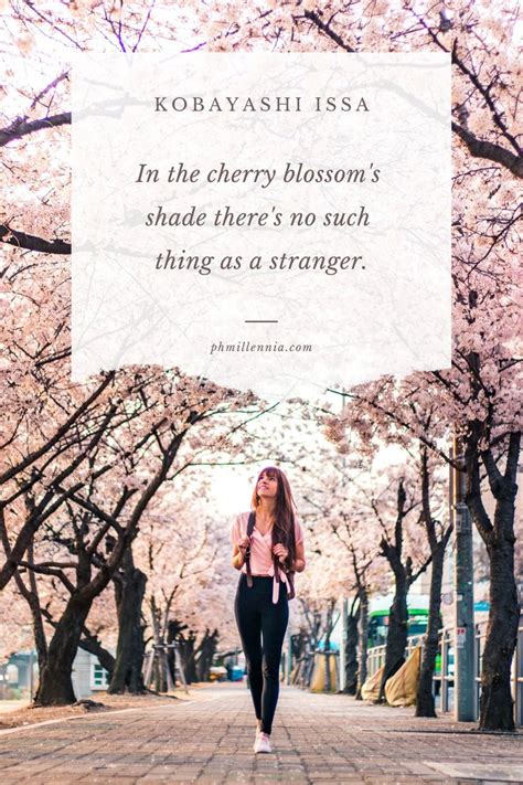 50 Beautiful & Brilliant Quotes about Cherry Blossoms | Sakura Quotes & Sayings | phmillennia ...