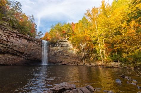 Most Tennessee State Parks Reopen - Williamson Source