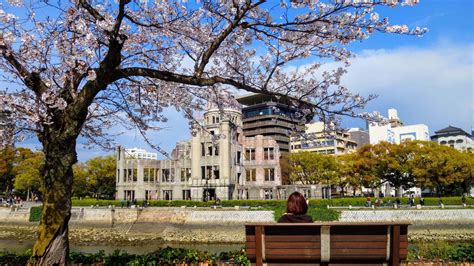 Cherry Blossom Forecast 2023 | JAPAN and more