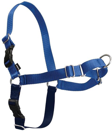 Pick the Best Front Clip Dog Harness to Train a Puller