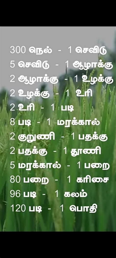 Pin by Dheepa Kesavan on tamil language(Bhakthi,Quotes and sayings historyetc) | Sayings, Quotes ...