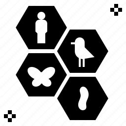 135 biodiversity icons - Iconfinder