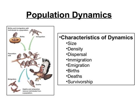 Population ecology