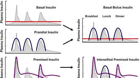 Bolus Insulin Definition - Insulin Choices