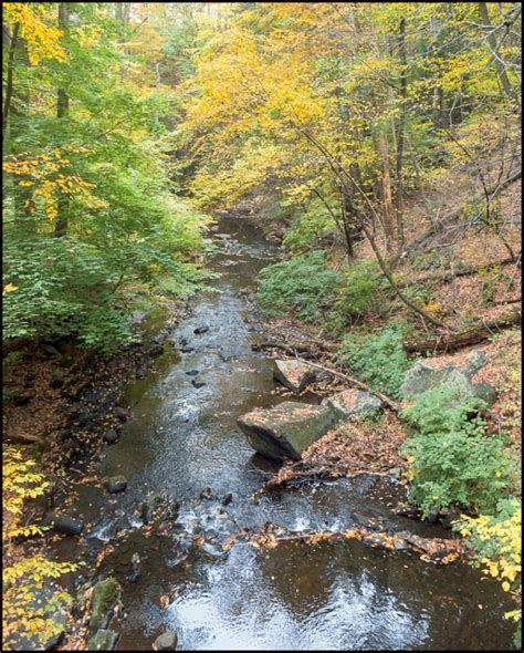 Rockefeller State Park Preserve – Fall Foliage – Photography, Images and Cameras