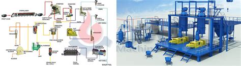 Palm Oil Production Process: A Step-by-Step Guide