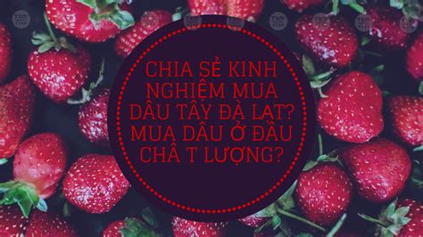 Chia sẻ kinh nghiệm mua dâu tây Đà Lạt? Mua dâu ở đâu chất lượng?