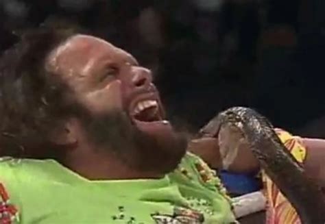 ‘Macho Man’ Randy Savage Gets Bitten By Jake “The Snake” Roberts’ King ...